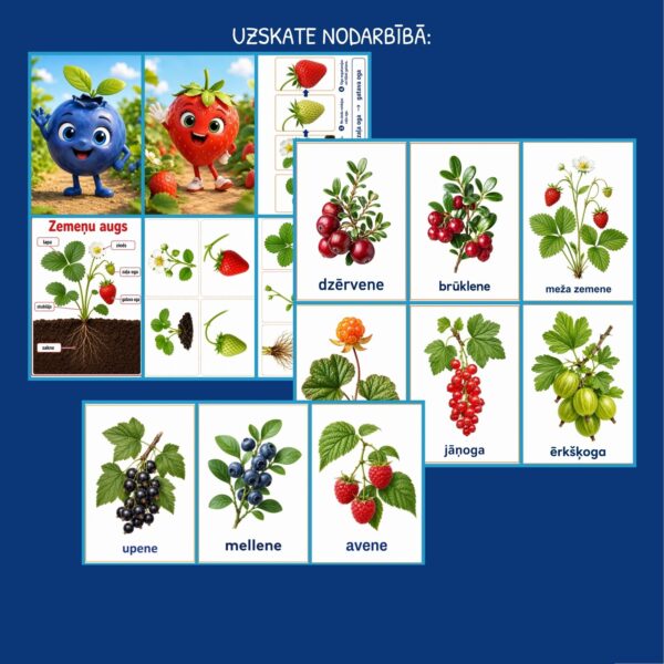 Ogas, odziņas I Rotaļdarbības komplekts 3-5 gadi Ogas, odziņas I Rotaļdarbības komplekts 3-5 gadi