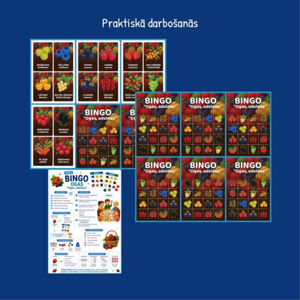 Ogas, odziņas I Rotaļdarbības komplekts 3-5 gadi Ogas, odziņas I Rotaļdarbības komplekts 3-5 gadi