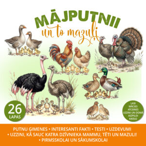 Mājputni un to mazuļi Mājputni un to mazuļi