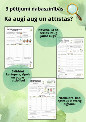 Pētījumi – Kā vairojas, aug un attīstās augi?