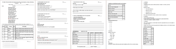 5.8.Spēle. Cik daudzveidīgi dzejā izmanto… PD lit. 5.8.Spēle. Cik daudzveidīgi dzejā izmanto… PD lit.