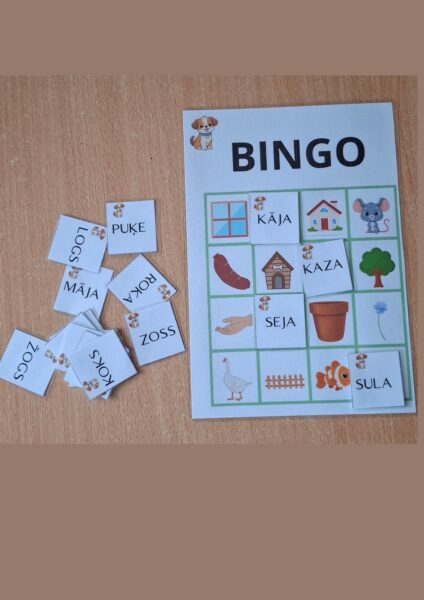 Lasīšanas Bingo Lasīšanas Bingo