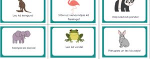 Aktivitāšu kartītes