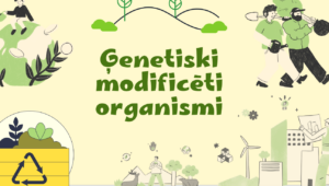 Ģenētiski modificēti organismi (prezentācija)