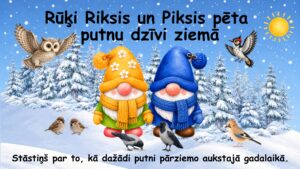 Rūķi Riksis un Piksis pēta putnu dzīvi ziemā