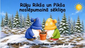 Rūķu Rikša un Pikša noslēpumainā sēkliņa Rūķu Rikša un Pikša noslēpumainā sēkliņa
