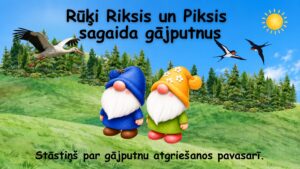 Rūķi Riksis un Piksis sagaida gājputnus