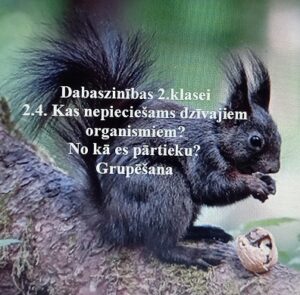 Dabaszinības 2.klasei. 2.4. „No kā es pārtieku?” Grupēšana Dabaszinības 2.klasei. 2.4. „No kā es pārtieku?” Grupēšana