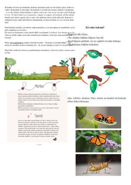 Iepazīstam kukaiņus Iepazīstam kukaiņus