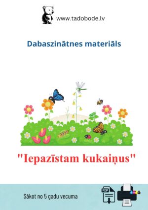 Iepazīstam kukaiņus
