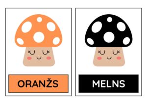 Mācāmies krāsas ar mīlīgajām sēnītēm | Mācies un izkrāso!