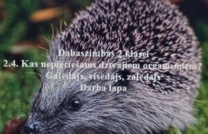 Dabaszinības 2.klasei. 2.4. Gaļēdājs, visēdājs, zālēdājs. DL Dabaszinības 2.klasei. 2.4. Gaļēdājs, visēdājs, zālēdājs. DL