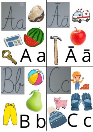 Alfabēta kartītes