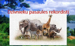 Dzīvnieku pasaules rekordisti prezentācija – tests Dzīvnieku pasaules rekordisti prezentācija – tests