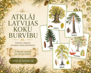 PLAKĀTI – KOKI | Atklāj Latvijas koku burvību