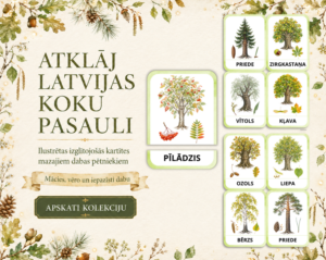 KARTĪTES – KOKI | Atklāj Latvijas koku burvību KARTĪTES – KOKI | Atklāj Latvijas koku burvību