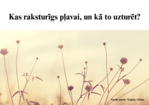 Kā pētīt dabas teritorijas? Pļava.1.kl.