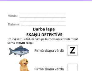 Skaņu detektīvs