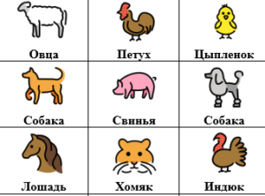 Kartītes krievu valodā “Dzīvnieki un augi”