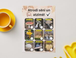Uzdevuma lapa: sēņu medības Uzdevuma lapa: sēņu medības