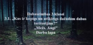 Dabaszinības 3.klasei. 3.1. „Mežs. Augi” Darba lapa Dabaszinības 3.klasei. 3.1. „Mežs. Augi” Darba lapa