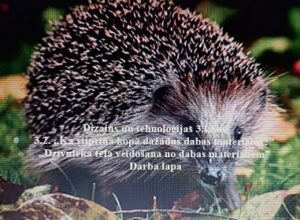 Dizains un tehnoloģijas 3.klasē.3.2.Dzīvnieka tēla veidošana