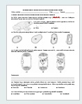 Diagnosticējošais darbs bioloģijā 9.kl. mācību gada sākumā