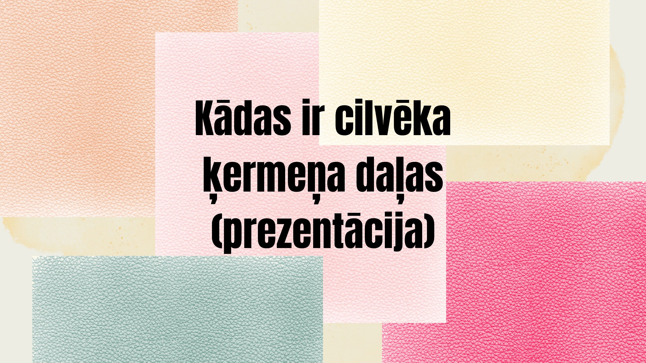 Kādas ir cilvēka ķermeņa daļas (prezentācija)