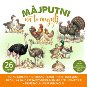 Mājputni un to mazuļi