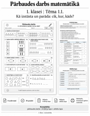 1.1. Kā izstāsta un parāda: cik, kur, kāds?