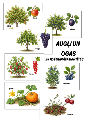 Augļi un ogas.