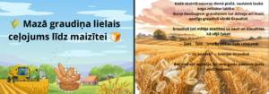 Mazā graudiņa lielais ceļojums līdz maizītei!- Stāsts Mazā graudiņa lielais ceļojums līdz maizītei!- Stāsts