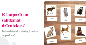 1.1. Kā atpazīt un salīdzināt dzīvniekus?