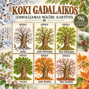Koki gadalaikos – izdrukājamas mācību kartītes Koki gadalaikos – izdrukājamas mācību kartītes