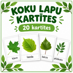 KOKU LAPAS KARTĪTES KOKU LAPAS KARTĪTES