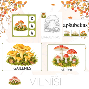 Lielais sēņu komplekts.