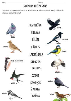 Putni un to balsis tautasdziesmās, literatūra 4.klasei