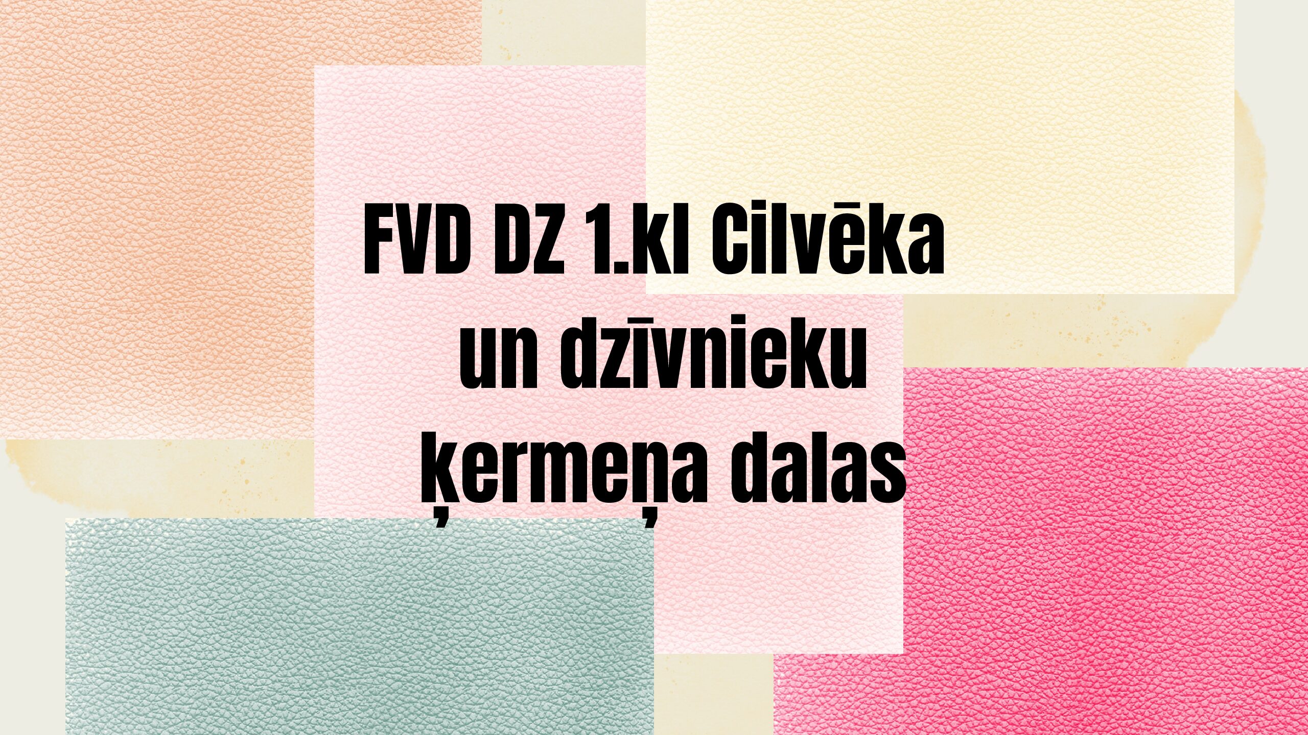FVD DZ 1.kl Cilvēka un dzīvnieku ķermeņa dalas