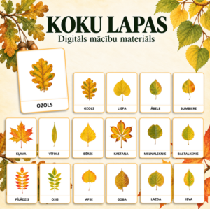 Koku lapas – ilustrētas izziņas kartītes | RUDENS