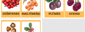 Rudens raža