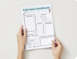 Koka lapas izmeklēšana