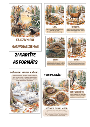 Kā dzīvnieki gatavojas ziemai! Kā dzīvnieki gatavojas ziemai!