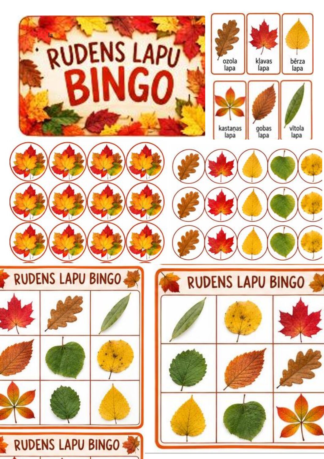 Rudens koku lapu bingo
