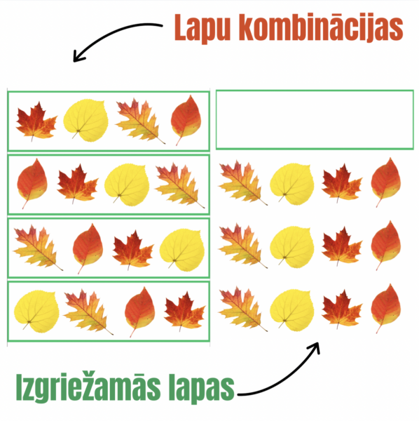 Rudens lapu rakstu atkārtošanas aktivitāte Rudens lapu rakstu atkārtošanas aktivitāte