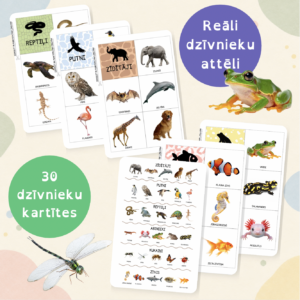 Dzīvnieku klasifikācijas kartītes Montesori
