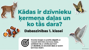 Kādas ir dzīvnieku ķermeņa daļas un ko tās dara?