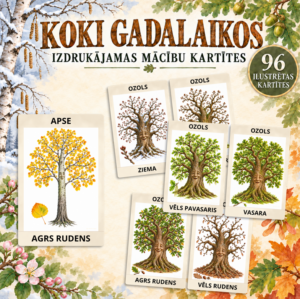 Koki gadalaikos – izdrukājamas mācību kartītes