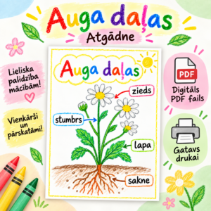 Auga daļas — krāsaina atgādne bērniem | PDF fails drukāšanai