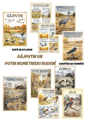 Gājputni un nometnieki rudenī.